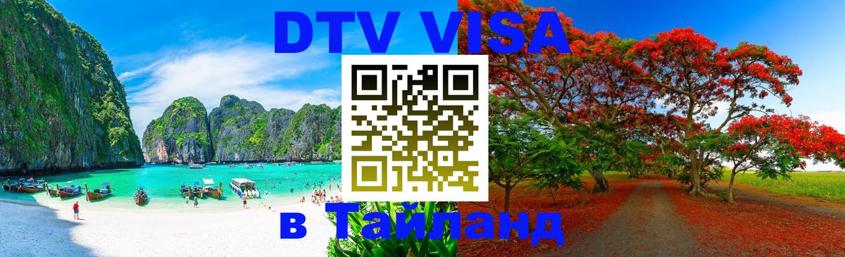 Оформление DTV визы под ключ: стоимость и тарифы, только загранпаспорт - 04.10.2025 
